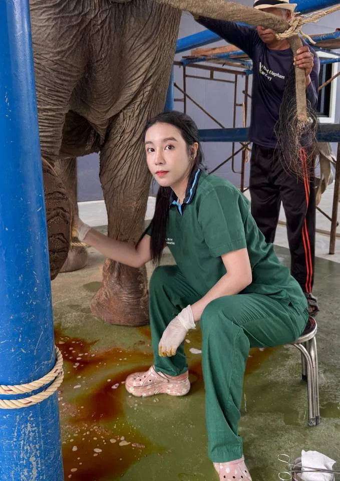 หมอโบว์